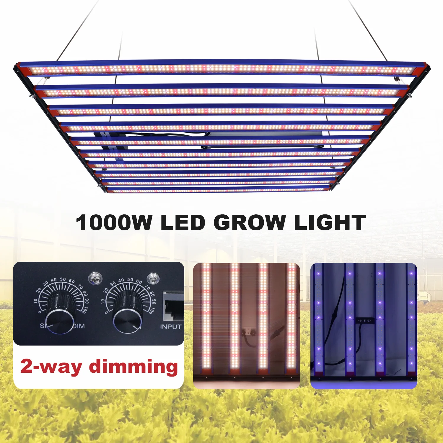 YXO 1000W Full Spectrum LED Grow light Sam-sung LM301HEVO