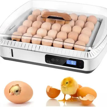 부화기 가격대 7,100원 ~ 84,300원 추천 BEST 8 4 4 2-product-image