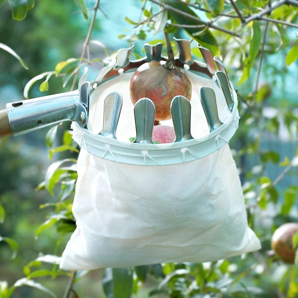 

Metal Fruit Picker Orchard Gardening Apple Peach High Tree Picking Tools Fruit Catcher Collector Gardening Tools