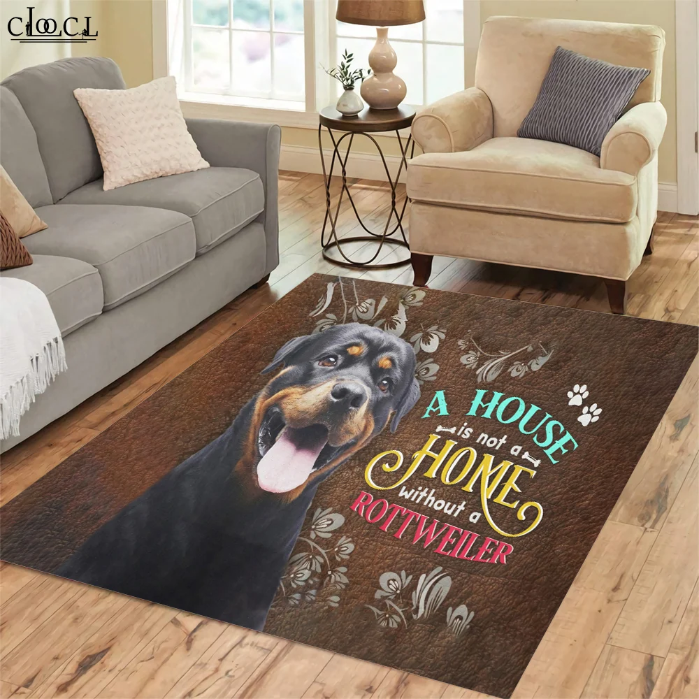 CLOOCL-��̸� ���� 3D ����Ʈ ����, �̲��� ���� ���� ����, ���� ī��, ��� �� ��