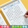 Chinese introductory practice calligraphy for primary school students with perfect composition and beautiful sentence 1