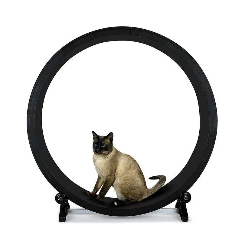 

Multifunctional Silent Treadmill with Sharpening Claw, Cat Treadmill, Fitness Toys, Weight Loss, Sports, Cat