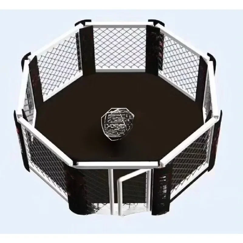 Mini Boxing Ring: A Compact Way to Train Like a Pro