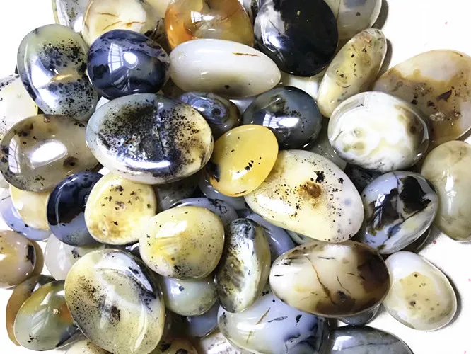 

150g Natural Polished Amazing Moss Agate Crystal Stone Reiki Madagascar