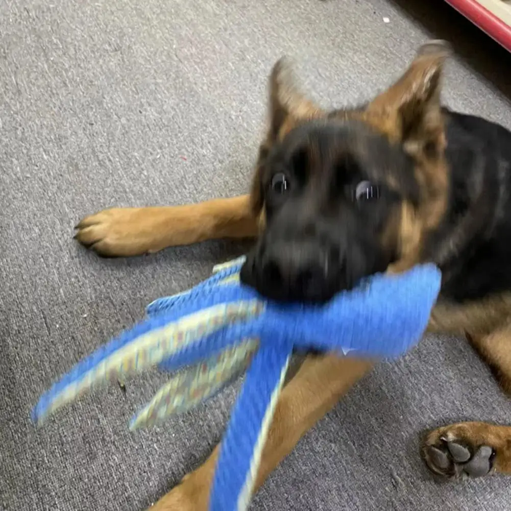 Fun Chew Toy for Dogs Durable Dog Toy Durable Octopus Dog Toy Fun Squeaky Bite-resistant Puppy Chew Toy for Small Dogs Pet 4