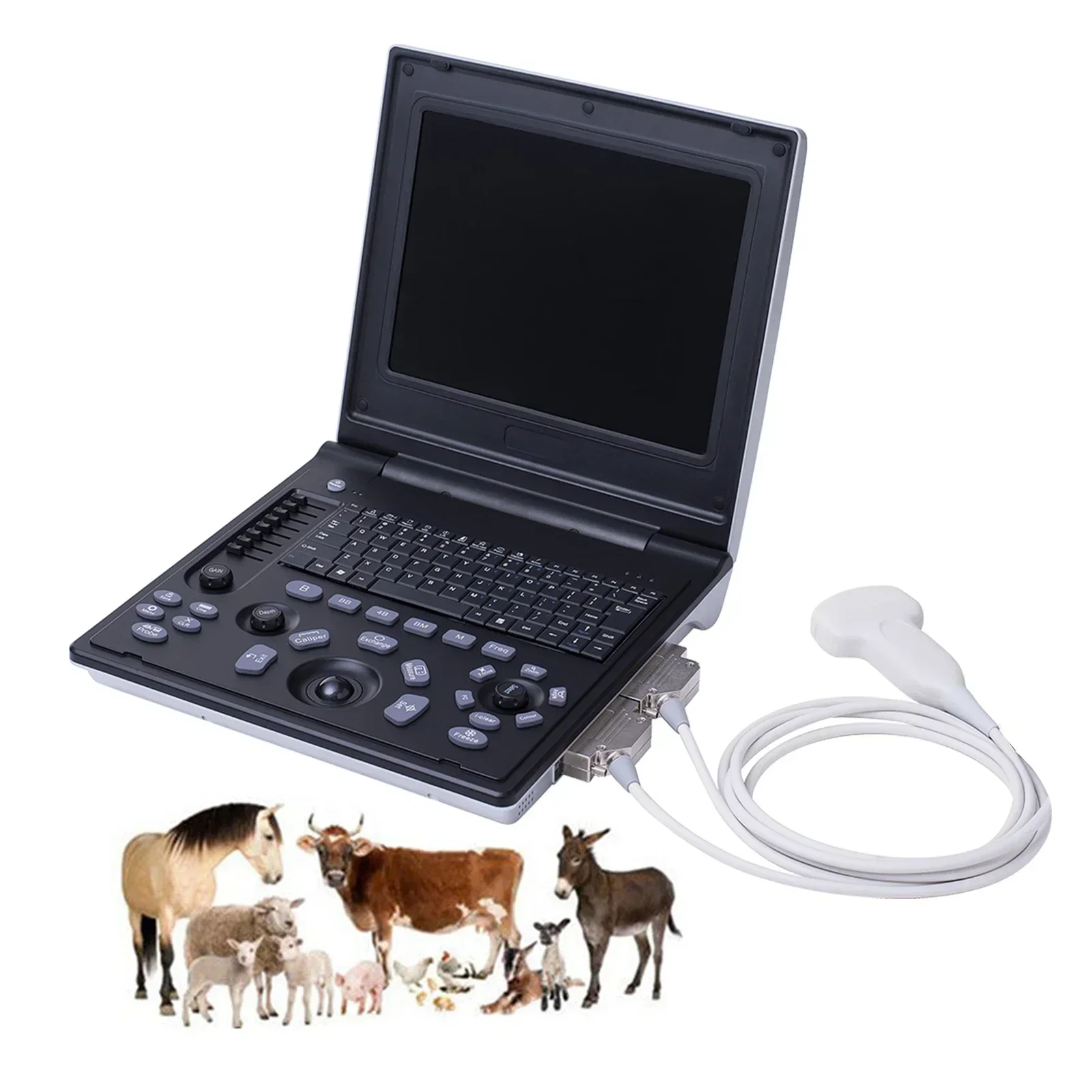Veterinary B-Ultrasound Machine with 3.5 MHz Micro Convex Probe for Pregnancy Cat Dog Goat Cow Pig Portable Laptop Scanner