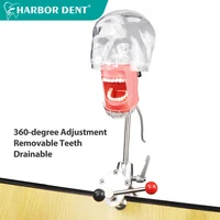 Modèle de tête Simple simulateur dentaire mannequin fantôme avec dents pour dentiste enseignement pratique formation étude équipement de dentisterie 1