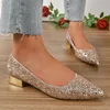 Gold Low Heels Pumps Women 2025 Spring Shiny Sequins Pointed Toe Party Shoes Woman Plus Size Simple Thick Heeled Bride Shoes 4