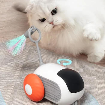Pet Toys