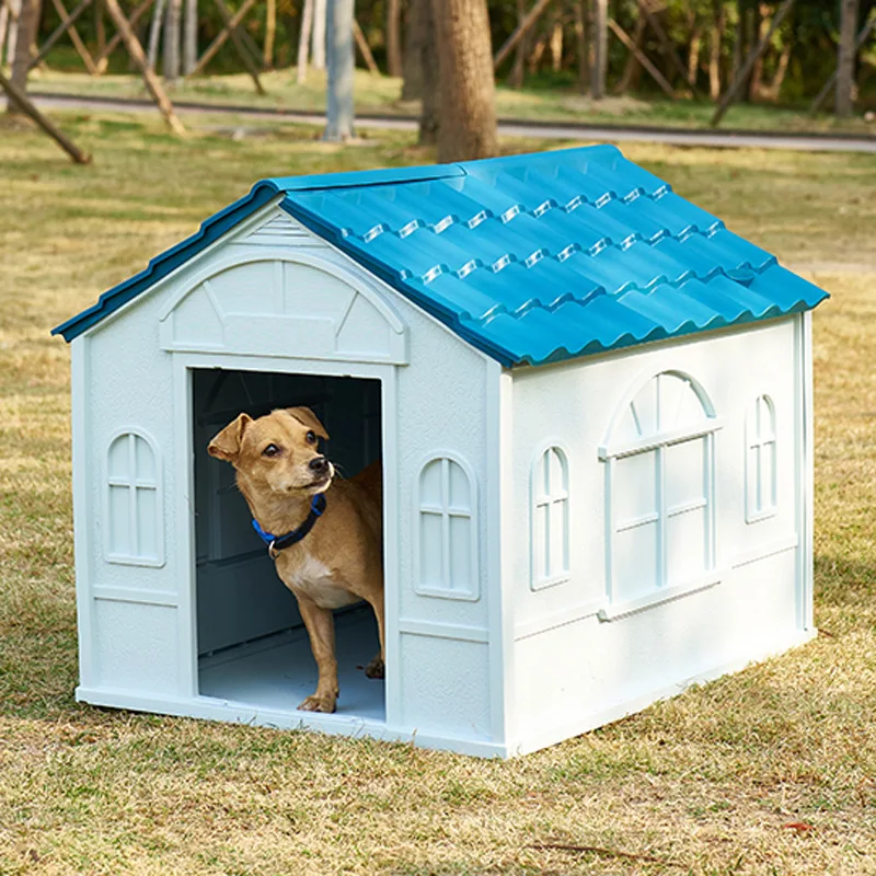 Blue Mountain Kennels Discount Sale