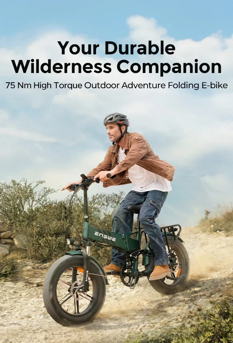 E-Bike 750W Brushless Motor 52V16AH Lithium Battery Folding Electric Bicycle 20-Inch Fat Tire All terrain Electric Bike
