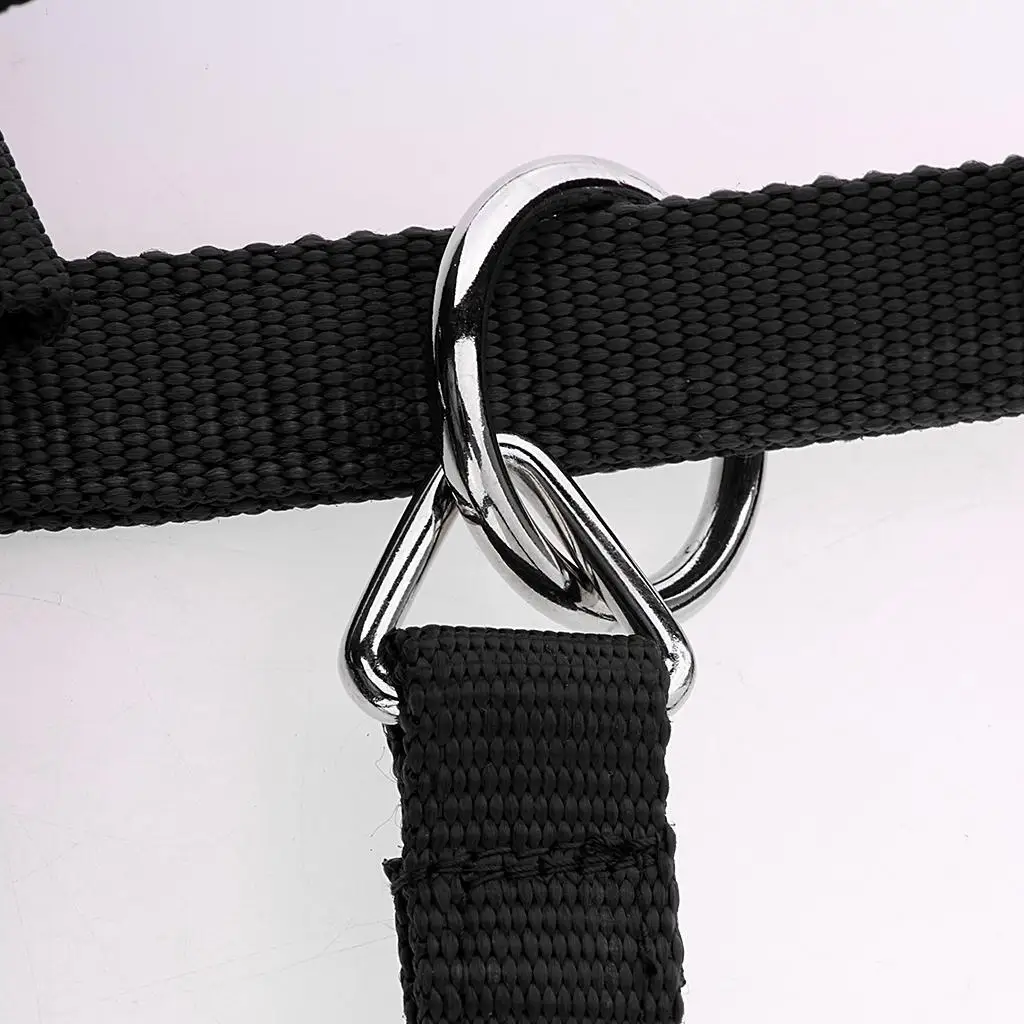 Adjustable Nylon Webbing Equestrian Western Horse Halter Horse Riding Wear Black L 2
