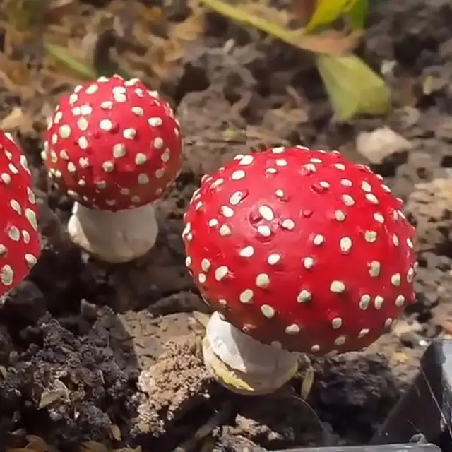 3Db/Set Gyanta Gomba Figura Növényi Edény Dekoráció Tiszta Faragott Mikroterület Ragyogása Sötét Miniatűr Kerti Kellékek - Image 4