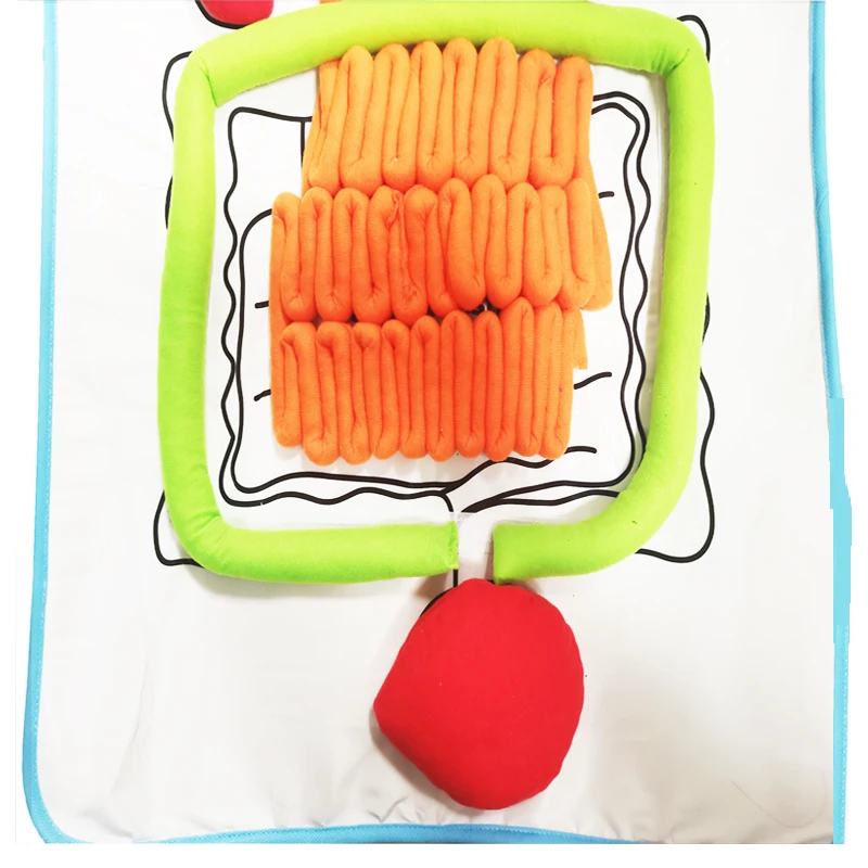 Organ Teaching Apron Anatomy Apron Human Body Educational Home Apron Aids Toys For Children Body Teaching 5