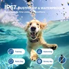 Collar de adiestramiento para perros, resistente al agua IP67, con vibración y sonido. Incluye control remoto.