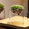 Clear Glass Cylinder Vases,Plant Vase for Rustic Home Decor Formal Dinners Party Event Hurricane 5