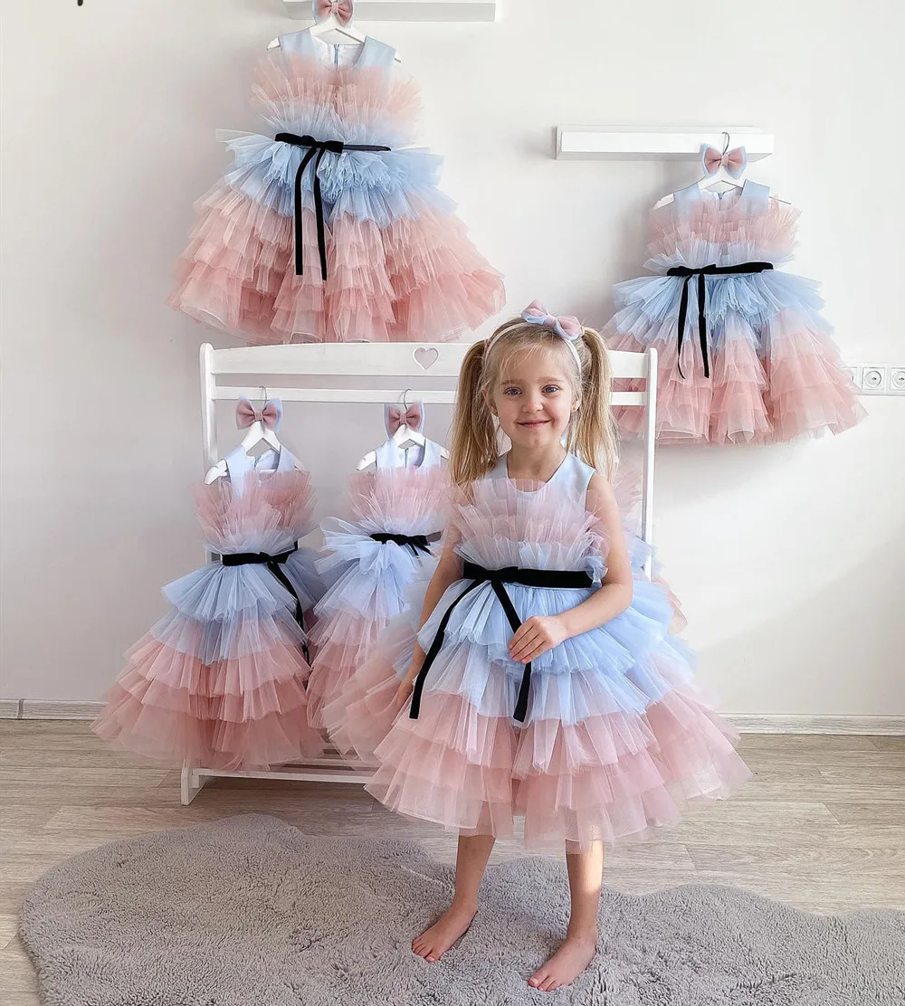 

Puffy Kid Party Dress Tiered Tulle Girl Pageant Dress Short Flower Girl Dresses Kid Girl Birthday Party Gown