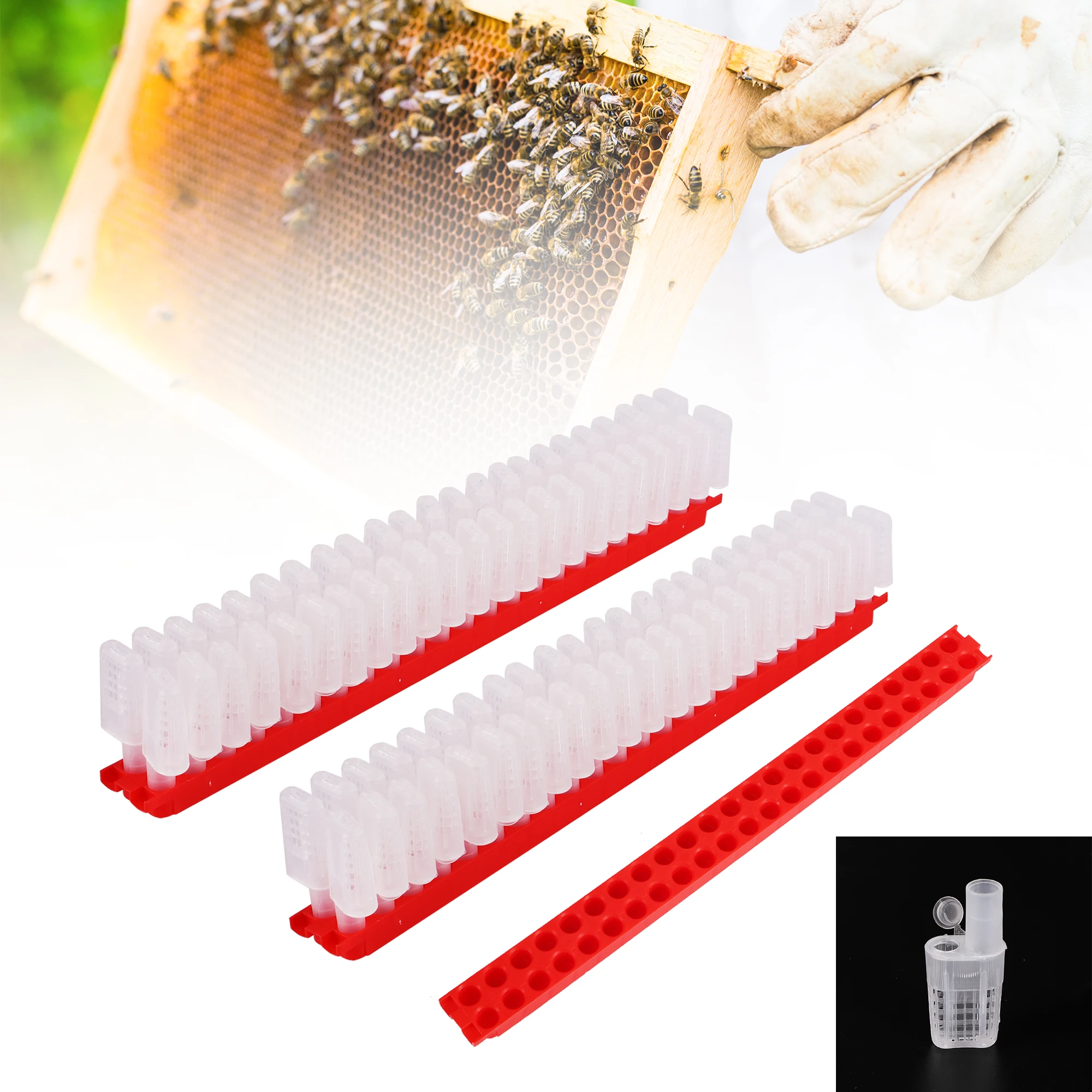 

New Design Queen King Cage Transport Bar Free-moving Insect Plastic Prisoner Beekeeping Farm Protection Beekeeping Tools Supplie