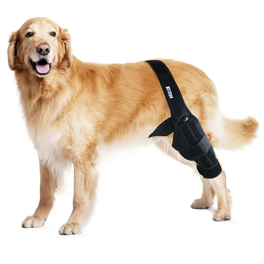 Dog Knee Injury Protection Sleeve Front And Back Leg Rehabilitation Brace Pet Arthritis Surgery