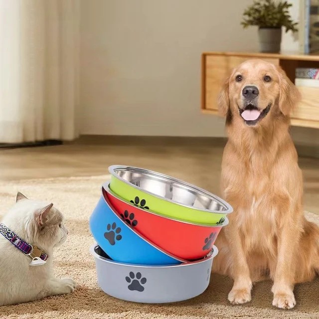 Stainless Steel Dog & Cat Water Bowl with Non-Slip Rubber Base 1