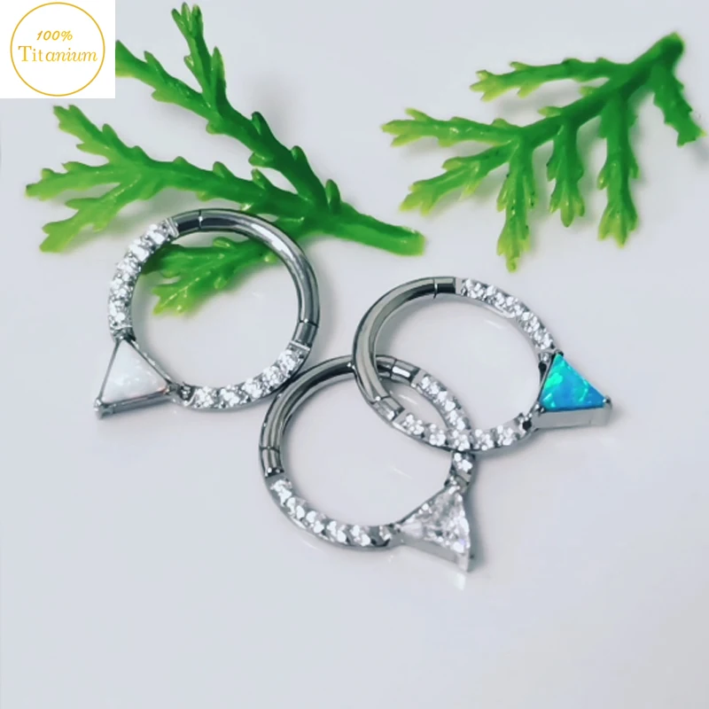 G23 Titanium Earrings Zircon Hinged Segment Clicker Septum Piercing Nose Ring Daith Helix Ear Cartilage Nose Piercing Jewelry