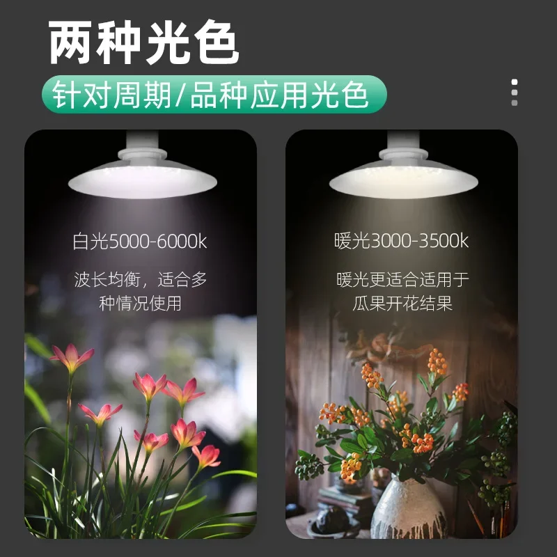 Slide image 6ac6bc8960f04e6d99c562b88d45bf98