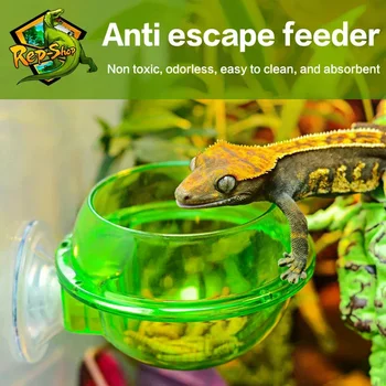 Arboreal Rettile Live Anti-fuga Ventosa Ciotola per mangiatoia Insetto Verme Contenitore per alimenti per lucertola Gecko Camaleonte Rettile Ciotola per animali domestici
