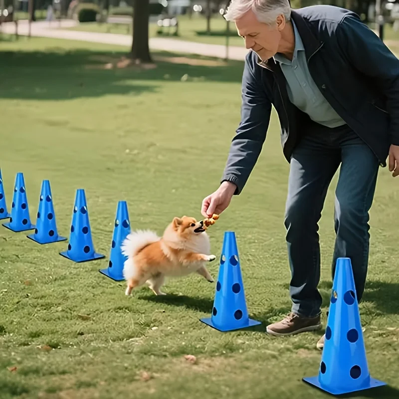 Set di attrezzature per l'addestramento all'agility per cani con secchio perforato e supporto per ostacoli - immagine 6