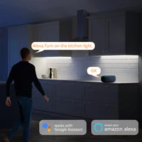 1-6PCS Smart TUYA COB LED Strip Light Set DC12V Integrated Lighting Support Alexa Google Assistant Echo Plus APP Voice Control - Image 2