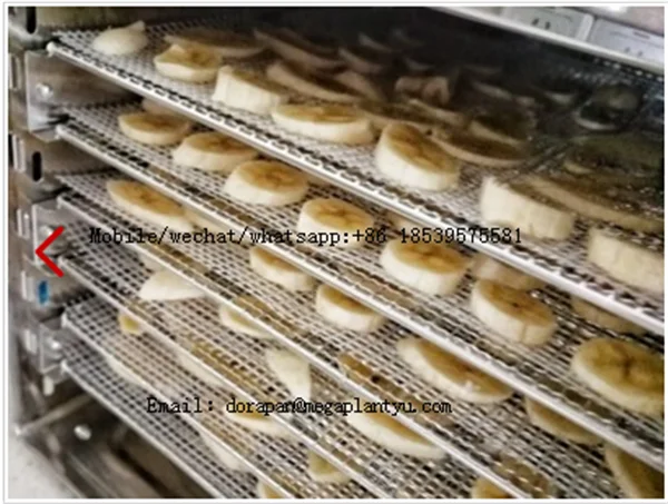 China Industrial Commercial Electric Food Dehydrator/24 Layers Vegetable Fruit Drying Dryer Machine 6