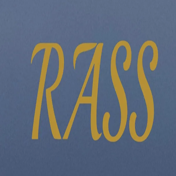RASS Ice Cream Machine And Accessories Factory Store Store