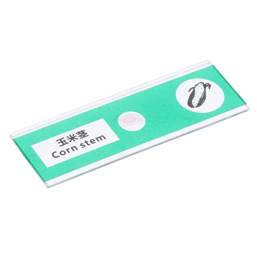 Microscope Glass Slides Prepared For Kids Students Plastic Animals Insects Plants Flowers
