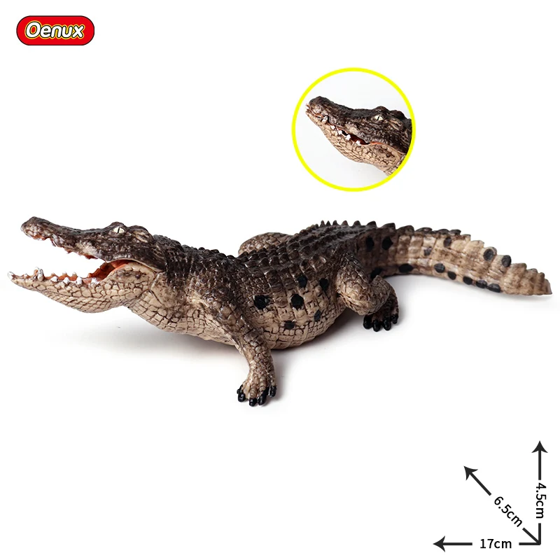 小物 WILD SWANS CROCODILE / NORMA(S) 81fIY0wvRbL._UF894,1000_QL80_.jpg