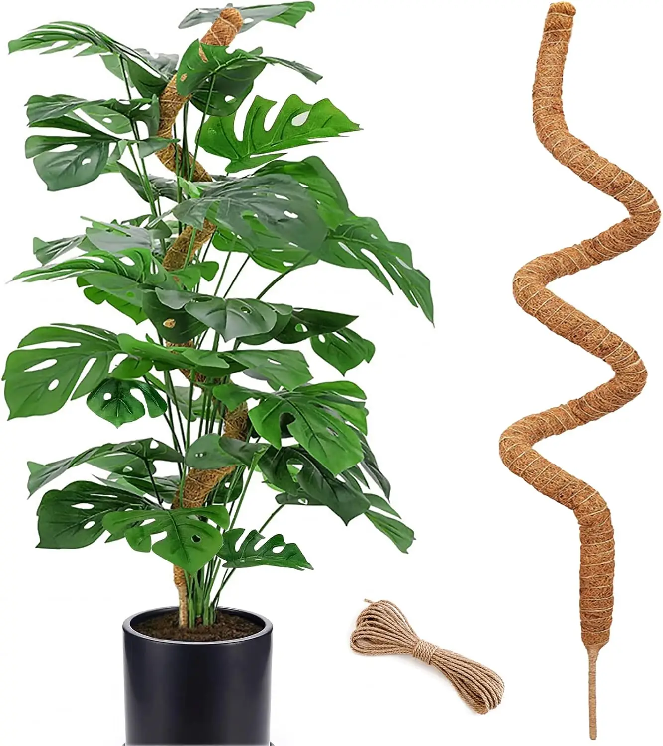 Supporti Per Piante Rampicanti TEGOVE - 4 Bastoni In Muschio Di Cocco Da 70cm Con Accessori | Per Pothos, Monstera E Piante Da Interno - Foto 5