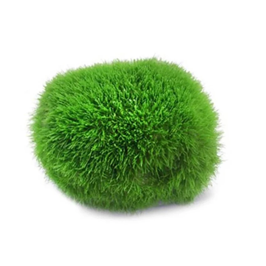 3-4cm Marimo Moss Balls Live Aquarium Plant Algae Fish Shrimp Tank