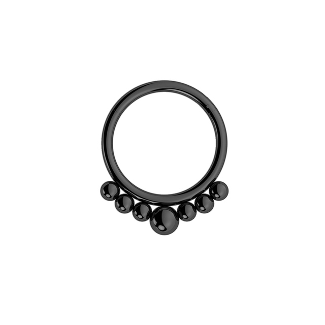 Nose Ring Hoop Septum Piercing Hinged Segment Clicker Surgical Steel Ear Cartilage Earrings Tragus Helix Daith Body Jewelry