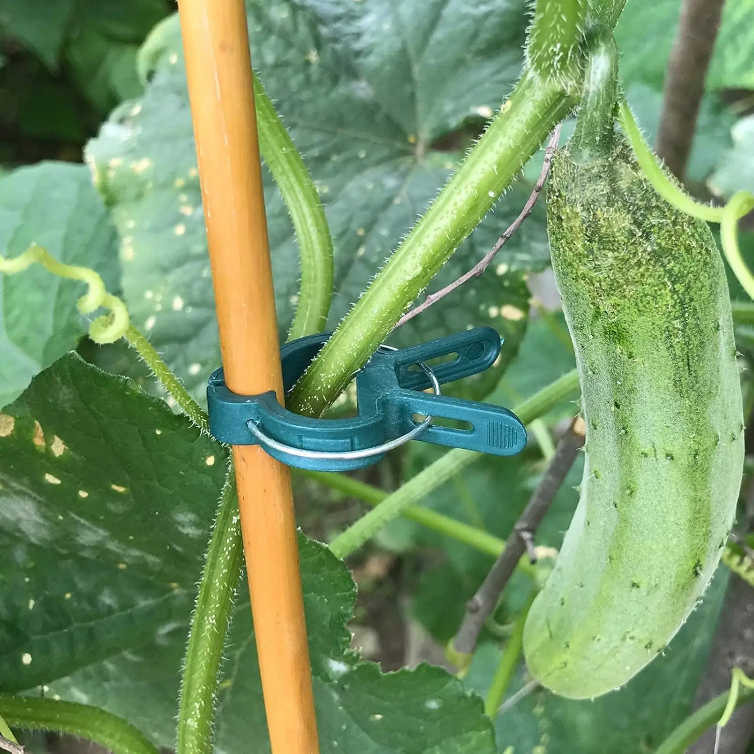 20-100PCS Reusable Plant Fixed Clips Garden Greenhouse Fixing Clips for Vine Flower Seedling Tomato Plant Stem Garden Supplies