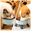 Stainless Steel Pet Bowl – Anti-Tip Elevated Design with Non-Slip Silicone Base & Chew-Proof Edge for Small Cats/Dogs Feeding 2