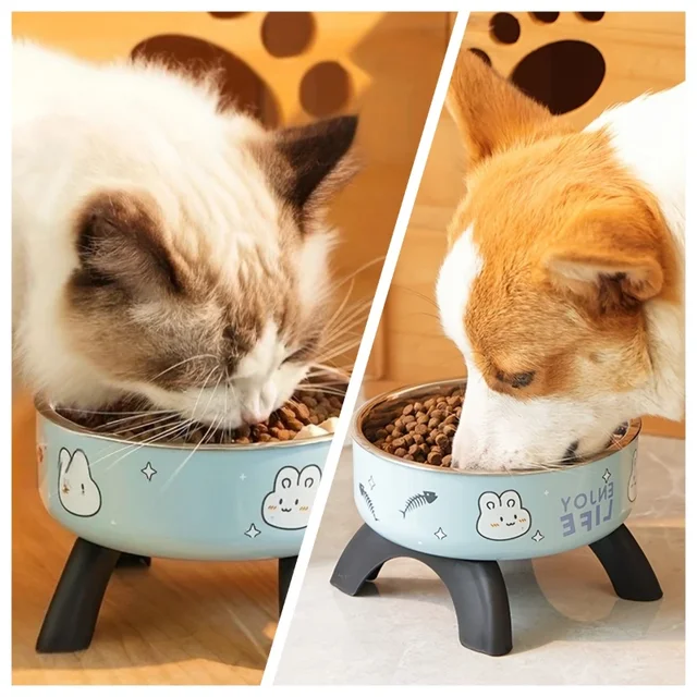 Stainless Steel Pet Bowl – Anti-Tip Elevated Design with Non-Slip Silicone Base & Chew-Proof Edge for Small Cats/Dogs Feeding 2