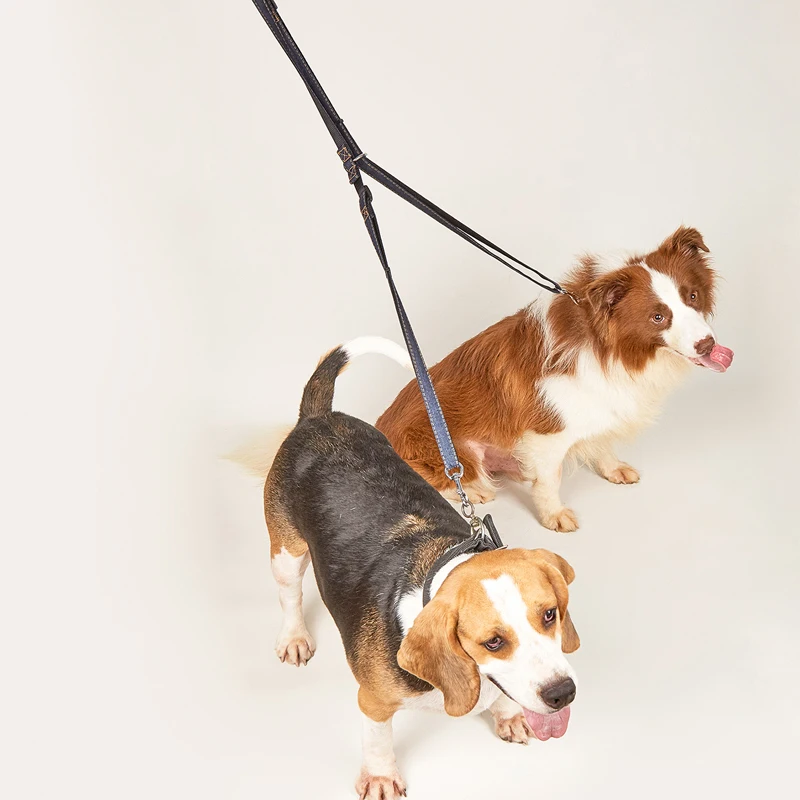 Multifunctional Jean Cloth Dog Leash Adjustable Length Free Hands Double Heads For Small Medium Large Dogs