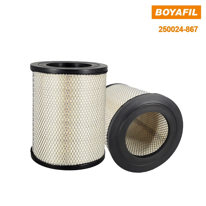 

Boyafil High Efficiency Compressor Air Filter Element 250024-867 Replacement VS16 Air Compressor Suction Element Filter