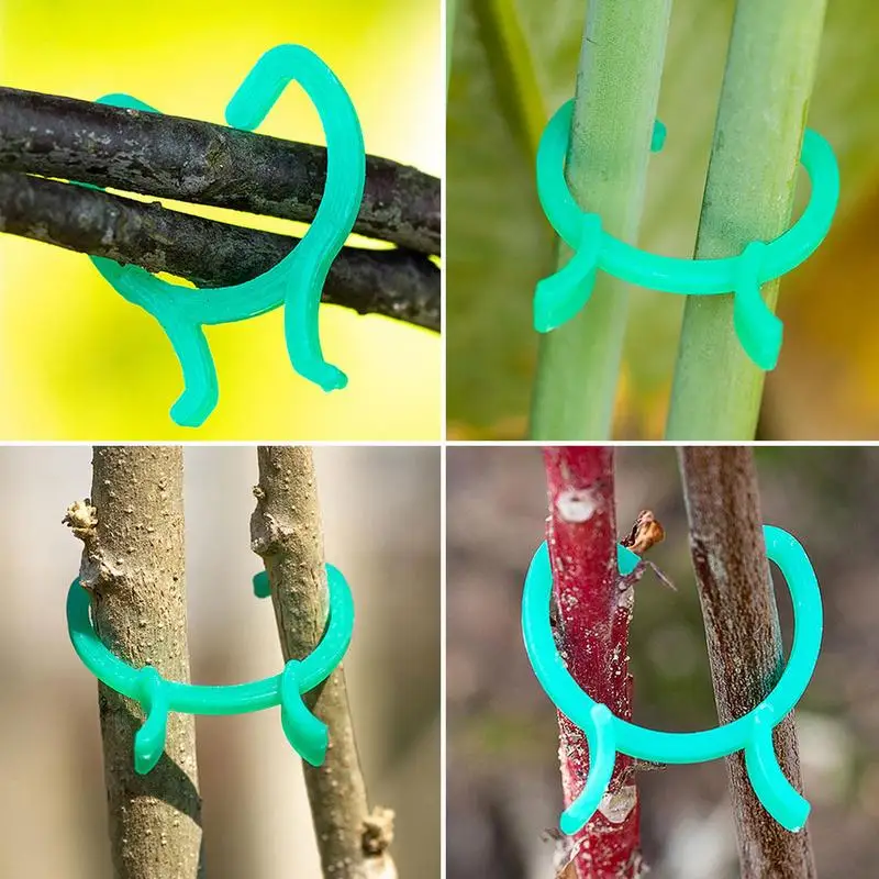 Garden-Clips-100pcs-Climbing-Clips-for-Vine-Grape-Vine-Tomato-Vine-Vegetables-Garden-Support-Clips-To.jpg Kerti Klipek | 100Db Mászó A Szőlőhöz Szőlő Paradicsom Zöldségek Támogató Klipek, Amelyek Egyenesen Termeszthetnek - Image 5