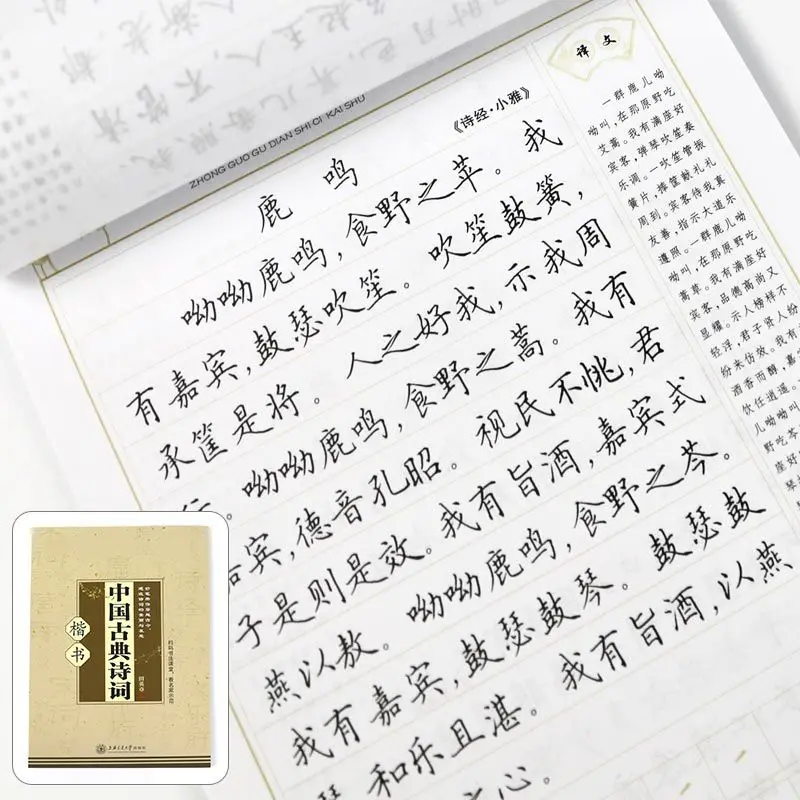 Chinese Classical Poetry Tian Yingzhang Regular Script Copybook Practice Daodejing Diamond Sutra Adult College Students Hard