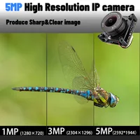 Модуль IP-камеры RTSP RTMP 5 МП 2592*1944 30 кадров в секунду IMX335 CMOS с варифокальным объективом CS обеспечивает SDK Onvif Push Video Stream на YouTube — изображение 4