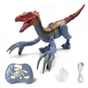 2.4G Children's Remote Control Spray Dinosaur Toys Walking Velociraptor with Lights Sounds Dinosaur Robot RC Toys for Kids Gift 4