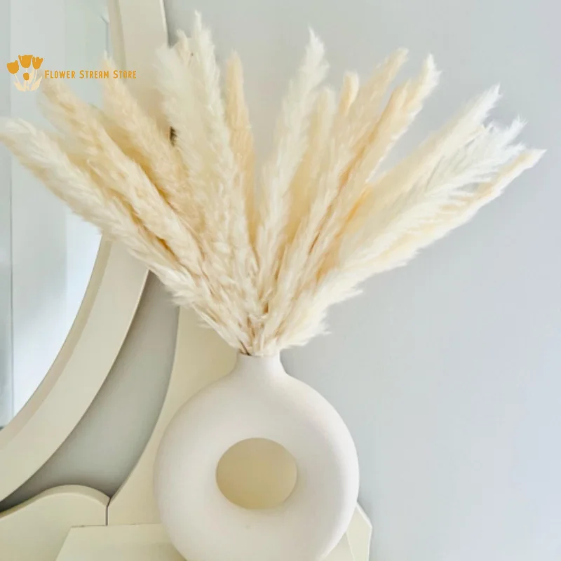 

Natural Pampas Grass Dried Flowers Bouquet Pillows Decor Home Accessories Real Plants Reed Artificial Flower Wedding Decoration