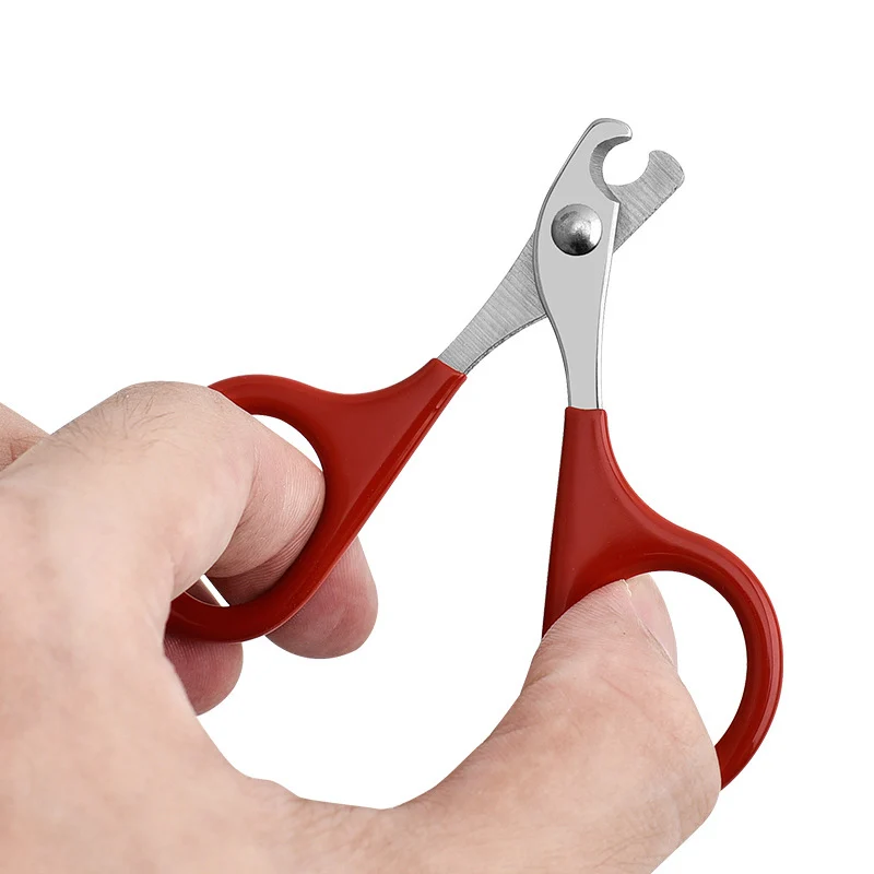Professional Stainless Steel Cat Nail Scissors Pet Dog Nail Clippers Toe Claw Trimmer Pet Grooming Supplies Products