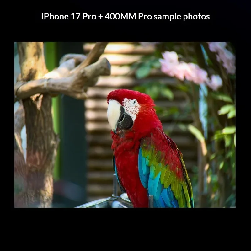 Obiettivo Teleobiettivo Fotorgear 400MM Pro per Smartphone - Senza Vignettatura, ED a Bassa Dispersione, 13 Elementi, Prisma da 35mm, Stabilizzazione IOS - immagine 5