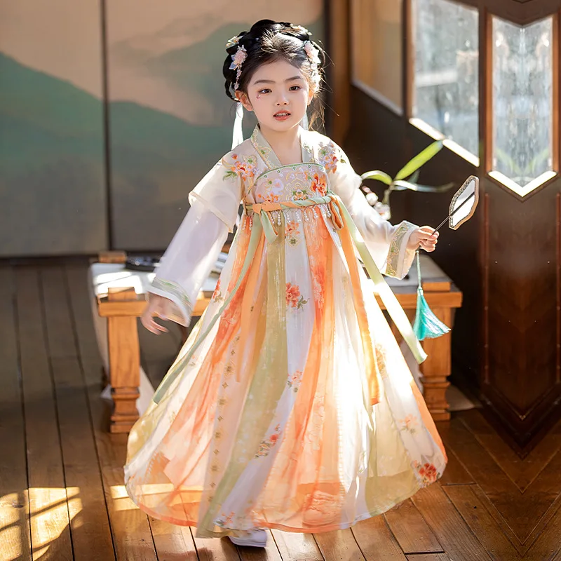 Рисунок 2 - Китайское Повседневное платье Hanfu