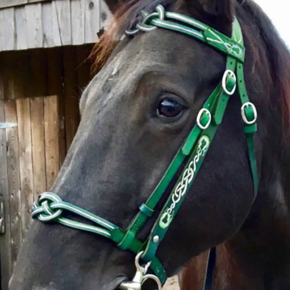 PU Leather Horses Bridle Halters horse riding equipment horse riding halter Metal Buckle Comfortable Horse Head Curtain Adjustable Protecting Horse Skin Rein Harness